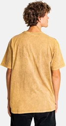 REELL T-Shirt Ash 