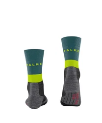 FALKE Socken TK2 Grün