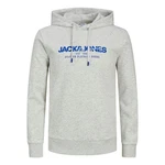 Jack & Jones Kapuzensweatshirt JJALVIS Sweat Hood Hellblau/Grau/Schwarz/Hellgrau