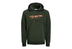 Jack & Jones Kapuzensweatshirt JJALVIS Sweat Hood Dunkelgrün/Grün