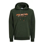 Jack & Jones Kapuzensweatshirt JJALVIS Sweat Hood Dunkelgrün/Grün