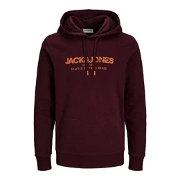 Hoodie JJALVIS Sweat Hood mit groem Print auf der Vorderseite