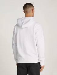 Tommy Jeans Sweatshirt TJM REG LINEAR GOLD HOOD EXT Grau/Weiß/Khaki/Braun/Hellblau