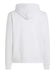 Tommy Jeans Sweatshirt TJM REG LINEAR GOLD HOOD EXT Grau/Weiß/Khaki/Braun/Hellblau
