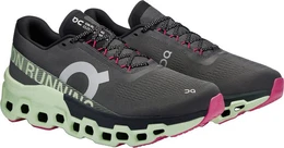 ON Herren Laufschuh Cloudmonster 2 Laufschuh