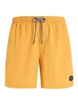 PROTEST Boardshorts FASTER (2024) 