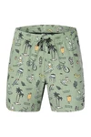 Picture Badeshorts Piau 15 Boardshorts Herren 