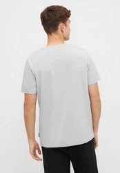 Bench T-Shirt WORSLEY Grau/Hellgrau/Beige