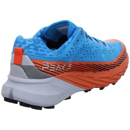 AGILITY PEAK 5 GTX Schnrschuh