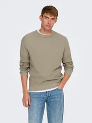 ONLY & SONS Rundhalspullover ONSTONY beige