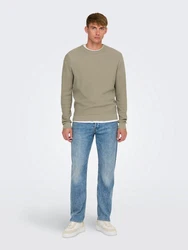 ONLY & SONS Rundhalspullover ONSTONY beige