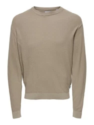 ONLY & SONS Rundhalspullover ONSTONY beige