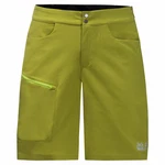 Jack Wolfskin Tourer Shorts Herren Grün/Neonfarben