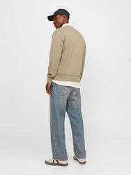 JACK & JONES Sweatshirt 'JORVesterbro' beige/offwhite