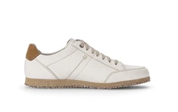 Pius Gabor Sneaker Beige