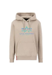 Alpha Industries Hoodie Basic Rainbow Refl. Print Rainbow