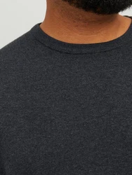 Jack & Jones Pullover JJEBASIC KNIT CREW NECK NOOS PLS 