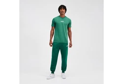 Ellesse T-Shirt Ollio Tee Grün/Türkis/Dunkelgrün