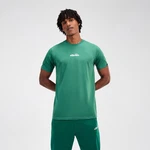 Ellesse T-Shirt Ollio Tee Grün/Türkis/Dunkelgrün