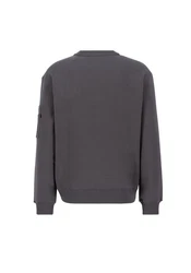 Alpha Industries Logo Edge Crewneck Pullover Dunkelgrau/Hellgrau/Dunkelgrün