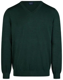 V-Ausschnitt-Pullover