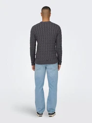 ONLY & SONS Strickpullover ONSKICKER LIFE REG 3 CABLE CREW KNIT Dunkelgrau (7990)
