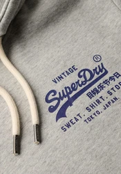 Superdry Kapuzensweatshirt CLASSIC VL GRAPHIC HOODIE grau