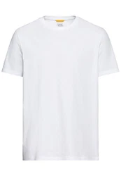CAMEL ACTIVE T-Shirt Weiß/Creme/Grau