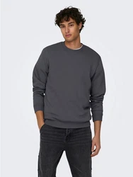ONLY & SONS Sweatshirt ONSCERES CREW NECK NOOS Grau (5428)