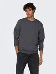 ONLY & SONS Sweatshirt ONSCERES CREW NECK NOOS Grau (5428)