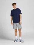 JACK & JONES Shorts 'BRADLEY' hellgrau