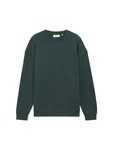 TOM TAILOR Sweatshirt Dunkelgrün/Grün