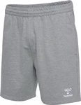 hummel Shorts Hmlgo 2.0 Grau/Hellgrau/Dunkelgrau