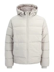 Only & Sons Jacke ONSMARVIN silbergrau