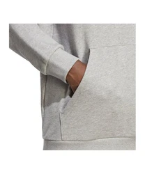 adidas Originals Sweatshirt Trefoil Hoody Grau/Hellgrau/Silber
