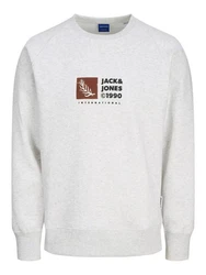 Jack & Jones Sweatshirt JORPORTLAND Grau/Hellgrau
