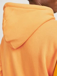 JACK & JONES Sweatshirt Hoodie JORVesterbro Orange/Gelb