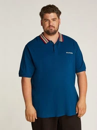 Tommy Hilfiger Big & Tall Poloshirt BT-GIFTING RWB CLLR REG POLO-B in Groen Gren, mit Logostickerei am rmel