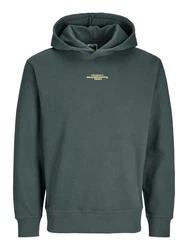 Jack & Jones Sweatshirt Hoodie JCOALPHA Dunkelgrün/Grün