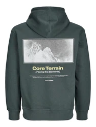Jack & Jones Sweatshirt Hoodie JCOALPHA Dunkelgrün/Grün