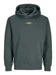Jack & Jones Sweatshirt Hoodie JCOALPHA Dunkelgrün/Grün