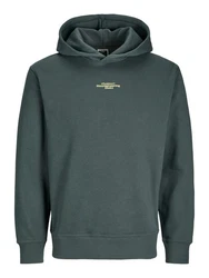 Jack & Jones Sweatshirt Hoodie JCOALPHA Dunkelgrün/Grün