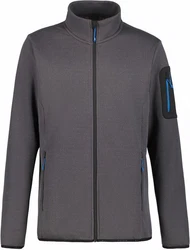 Icepeak Fleecejacke BREDSTEDT Granit