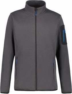 Icepeak Fleecejacke BREDSTEDT