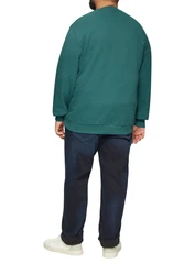 s.Oliver Sweatshirt mit Stickerei Grün/Dunkelgrün/Türkis