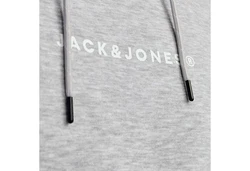 Jack & Jones Kapuzensweatshirt JJTree Sweat Hood Grau/Hellgrau