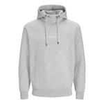Jack & Jones Kapuzensweatshirt JJTree Sweat Hood Grau/Hellgrau