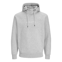 Jack & Jones Kapuzensweatshirt JJTree Sweat Hood Grau/Hellgrau