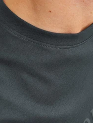 Jack & Jones T-Shirt JORFREDERIKSBERG TEE SS CREW NECK Dunkelgrün/Dunkelgrau/Grau/Grün