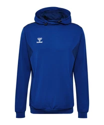 hummel Hoodie Hmlauthentic Pl Hoodie 